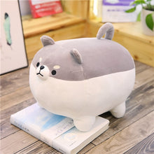Load image into Gallery viewer, Cute Shiba Inu Dog Plush Toy