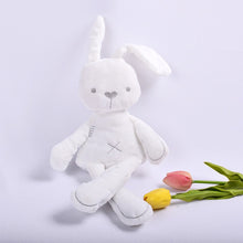 Load image into Gallery viewer, Cute Bunny Plush