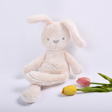 Load image into Gallery viewer, Cute Bunny Plush